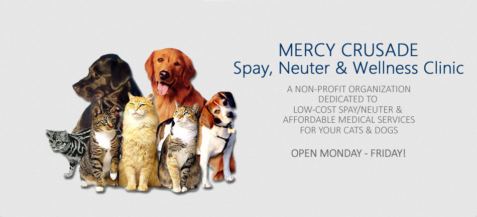 Oxnard Ventura Spay Neuter Veterinary Clinic